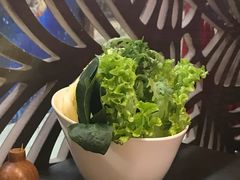-老诚一锅羊蝎子(黄寺大街店)