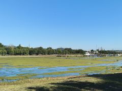 -永定河休闲森林公园