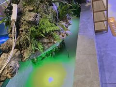 -星河湾温泉洗浴酒店