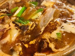 牛筋牛腩煲-十六蒲(桂林路店)