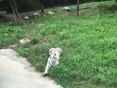 -西安秦岭野生动物园