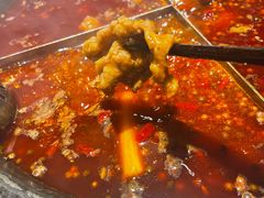 -陈眼镜火锅(总店)