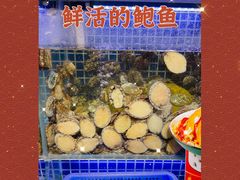 -必点海鲜·鲅鱼水饺(鞍山西道店)