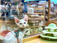 -帕帕拉兹宠物(亚洲旗舰店)