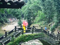 -三峡人家风景区