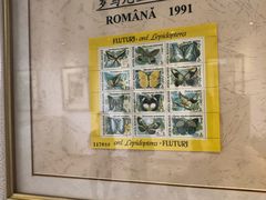 -上海昆虫博物馆