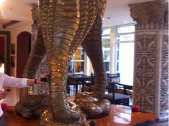 -月亮河温泉度假酒店