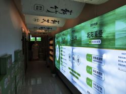 点击看大图 -阅年轻·AI家庭健康体质调理