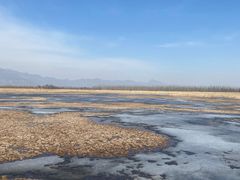 -野鸭湖国家湿地公园