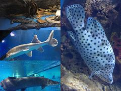 -多彩贵州城极地海洋世界