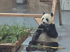 -无锡动物园·太湖欢乐园