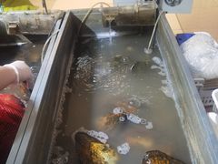 -十八字金·银饰·开蚌DIY·手工体验团建(魏公芳华里店)