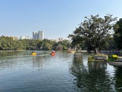 -荔湾湖公园