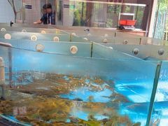 -耕渔小院·湖南鱼鲜(望城店)
