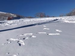 -大秃顶子山