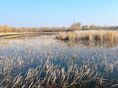 -野鸭湖国家湿地公园