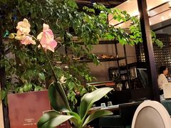 -绿茵阁(江南西路店)