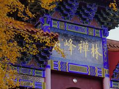 -遵化市禅林寺古银杏风景园