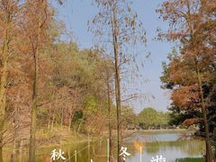 -番禺大夫山森林公园