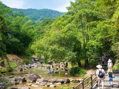 -广州白江湖森林公园