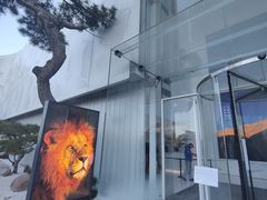 -罗红摄影艺术馆