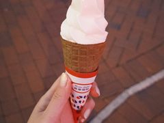 -富豪雪糕车流动点(尖沙咀店)