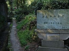 -龙井村