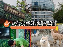 -上海大自然野生昆虫馆(东方明珠·爬宠昆虫探索中心)