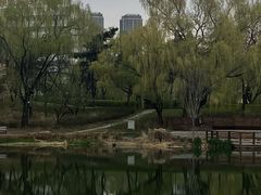 -万泉公园