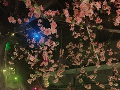 -黄家码头老火锅(解放碑旗舰店)