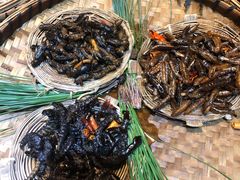 -昆虫窝子·特色云南菜(拓东路总店)
