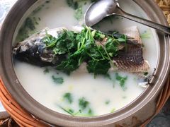 -天乐农家鱼头王(天目湖店)