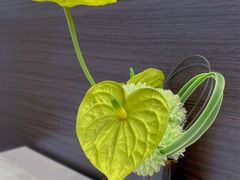 -欢乐海岸美食联盟