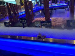 -九月海·海鲜自助(世纪东方店)