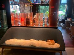-THE CANNERY&JUJU 新鲜海鲜·牛排美食酒廊