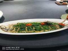 -临江·阅炉