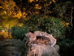 -静安公园(静安寺街道)