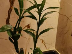 -长沙富力万达文华酒店