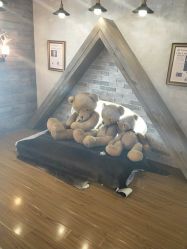 -星光贝贝(万达店)