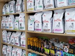 -中农大我爱我爱24h动物医院·中医针灸·猫专科·骨科医疗中心(双井店)