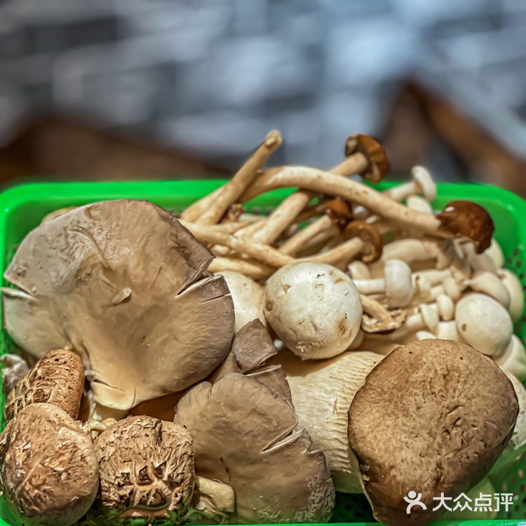 菌菇烧烤//这家店竟然可以自己DIY天妇罗🍤