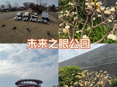 -恩阳古镇