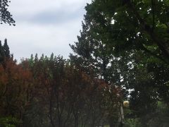-新湖明珠城
