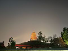 -唐猫庭院·千年陕菜(大唐不夜城店)