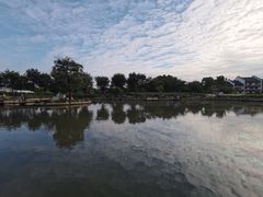 -鹅湖玫瑰文化园