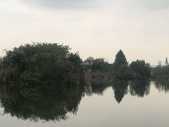 -白鹭湾湿地公园