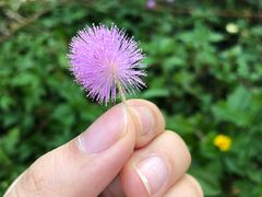 -白沙门生态公园