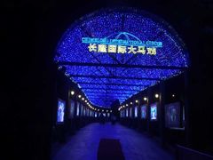 -广州长隆国际大马戏