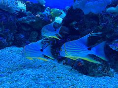 -成都浩海立方海洋公园