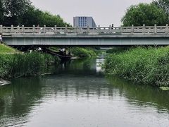 -大兴滨河森林公园